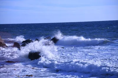 DSC_0575 (Large).JPG